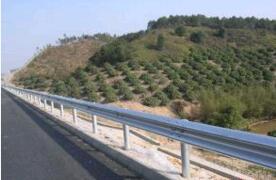 ·o(h)ڏS/·o(h)ڵĹ