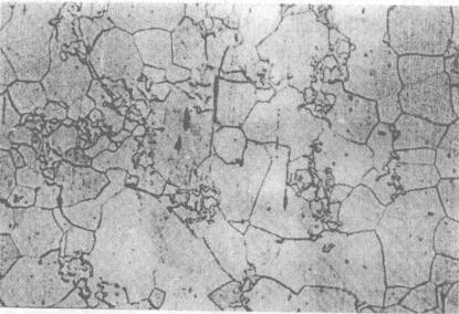 D10.176ʧЧo(h)ڽ(jng)ƾҺgĽM120 x