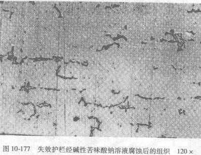 D10һ177ʧЧo(h)ڽ(jng)AԿζcҺgĽM120x